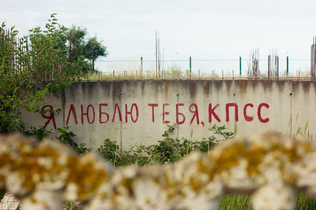 Răbdare înseamnă așteptare, nu forțare