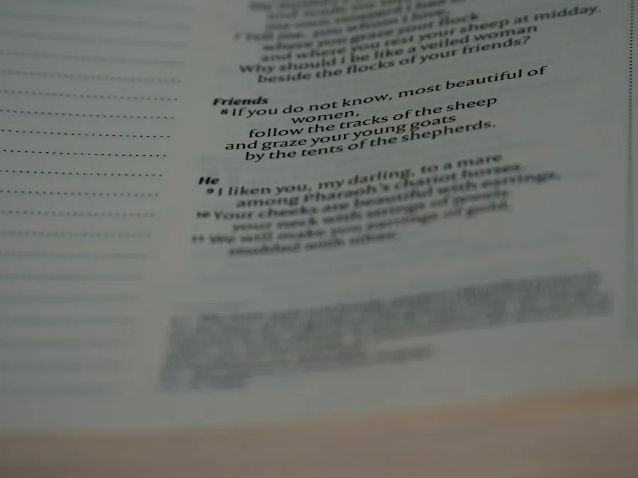 Photo poetry and its role