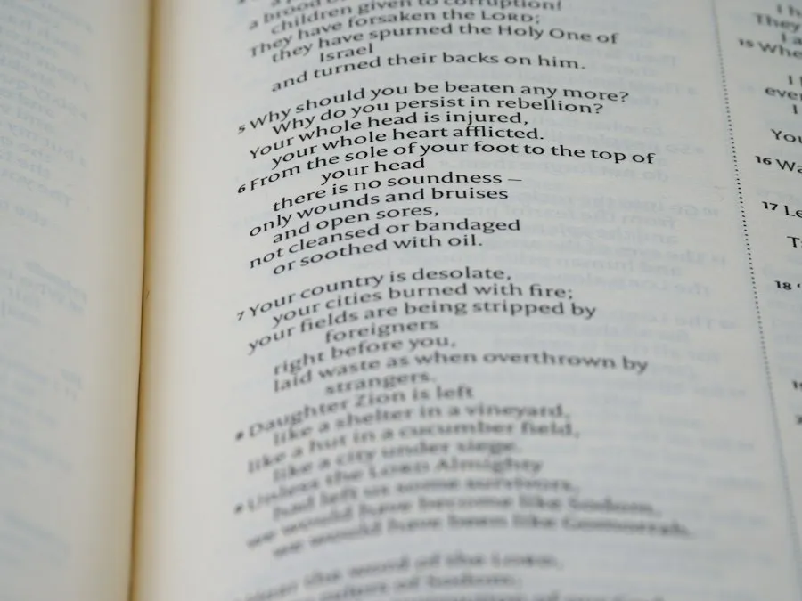 Photo common mistakes poetry role
