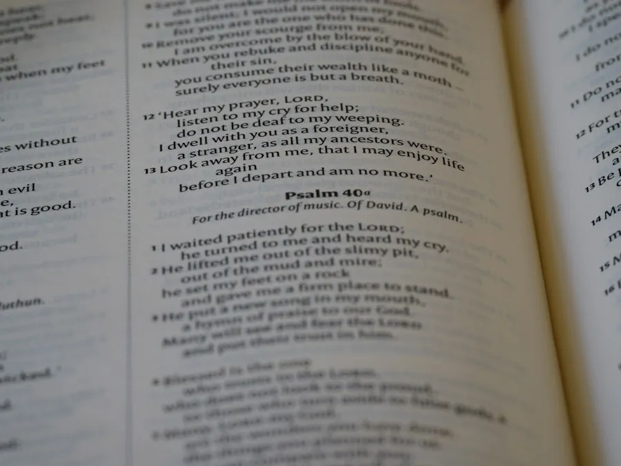 common mistakes poetry role